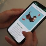 humda fenntarthatóság