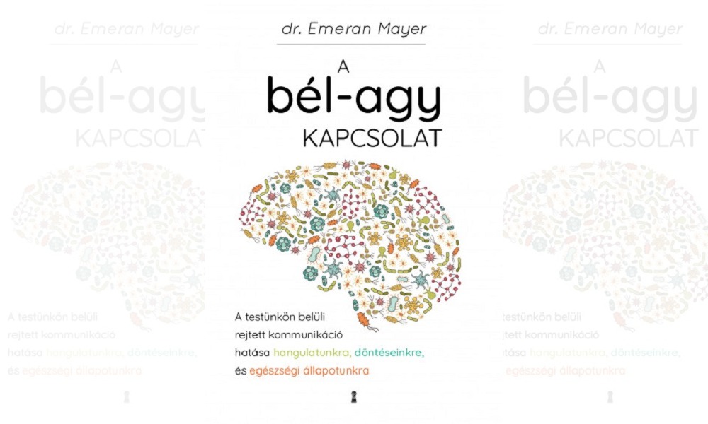 bél agy kapcsolat könyv