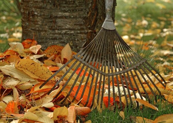 Hasznos kerti eszközök