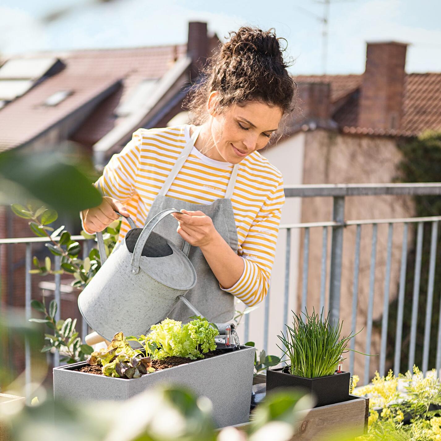 növények gondozása