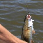 előkötött horgok horgászat