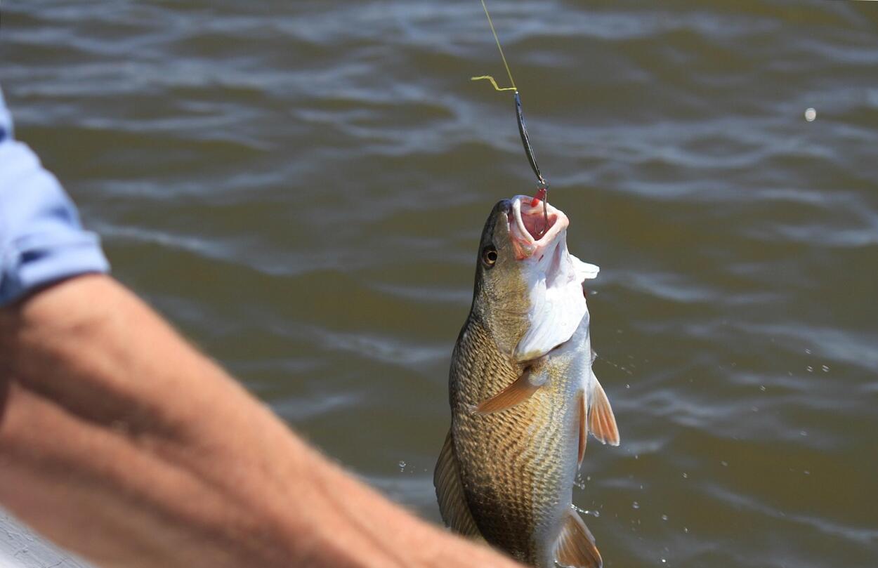 előkötött horgok horgászat