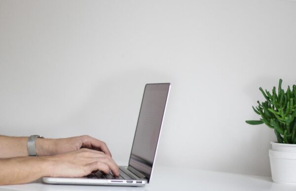 elektronikus gazdálkodási napló